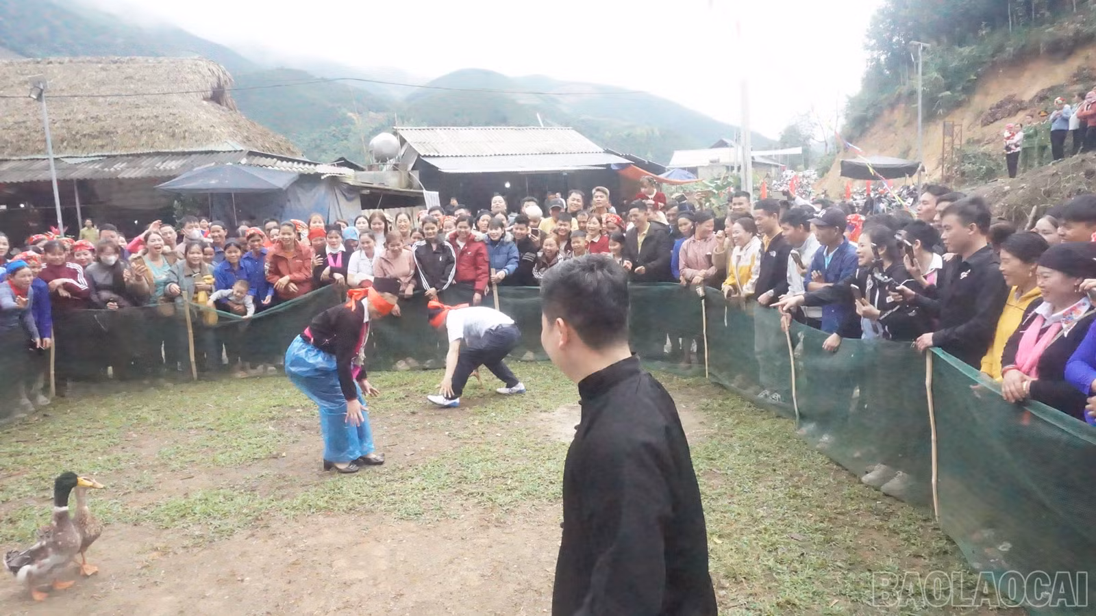 baolaocai-br_dsc06230.jpg
