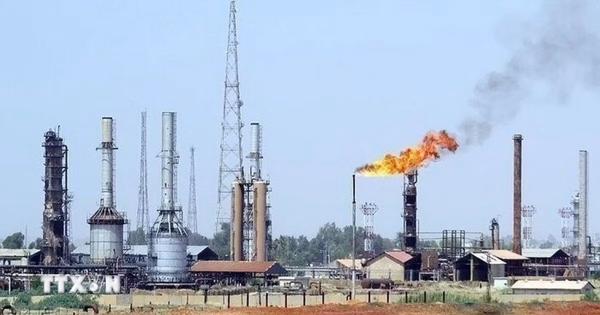 gia-dau-1.jpg