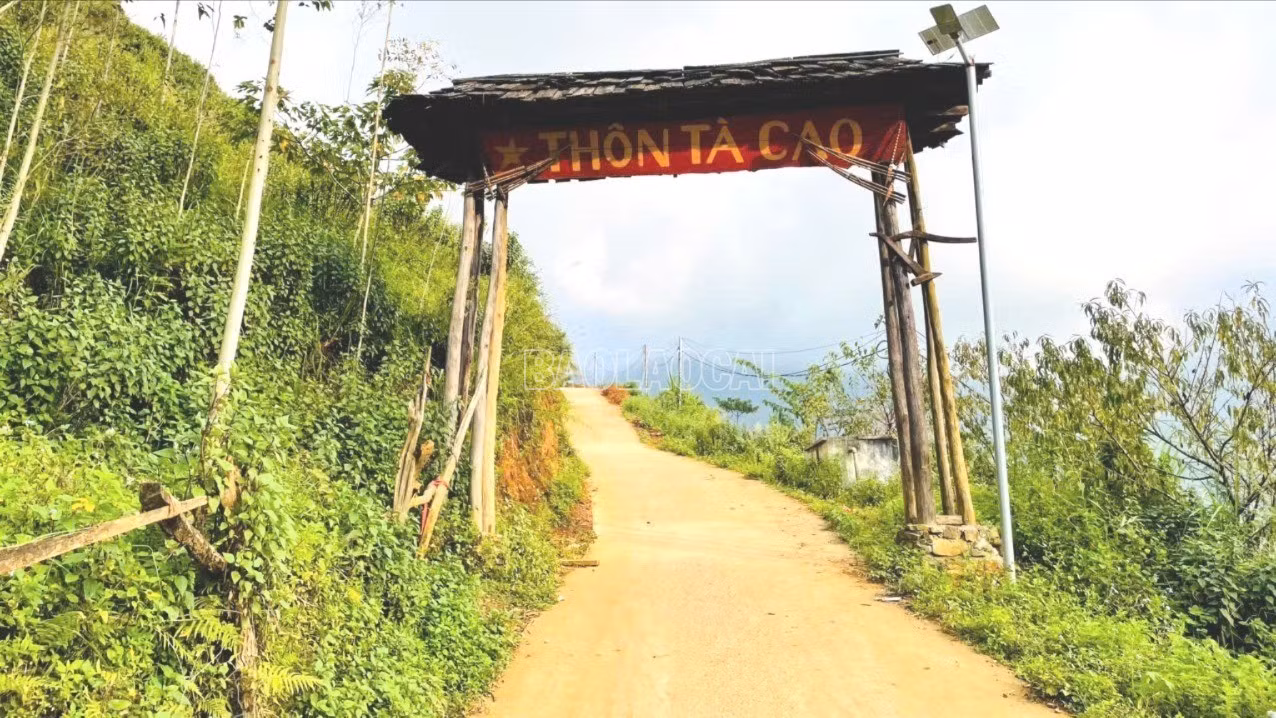 baolaocai-c_z7208763094474-36800aa9ff61727cd55731bc6df60823-6824.jpg