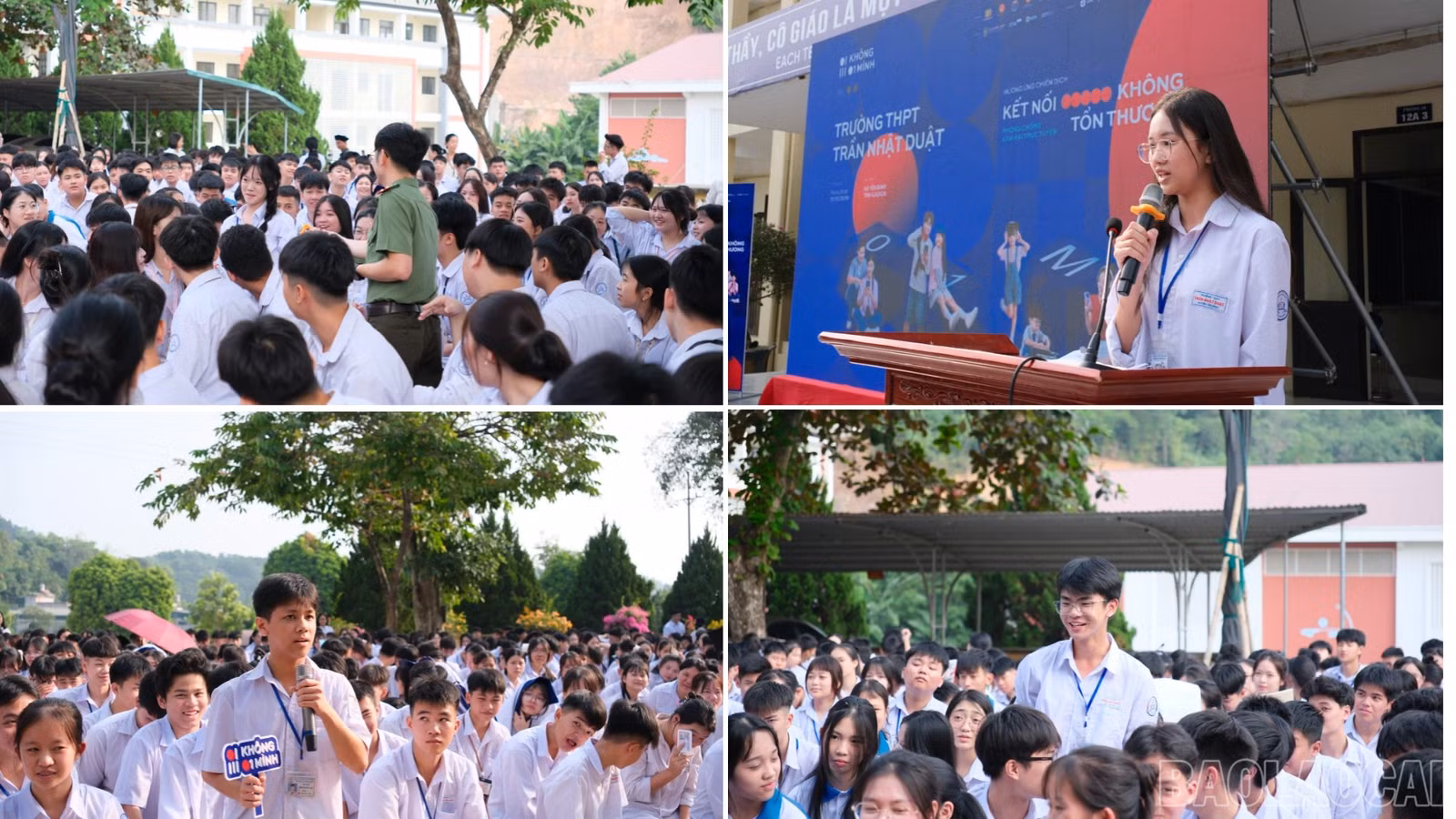 baolaocai-br_anh4.jpg