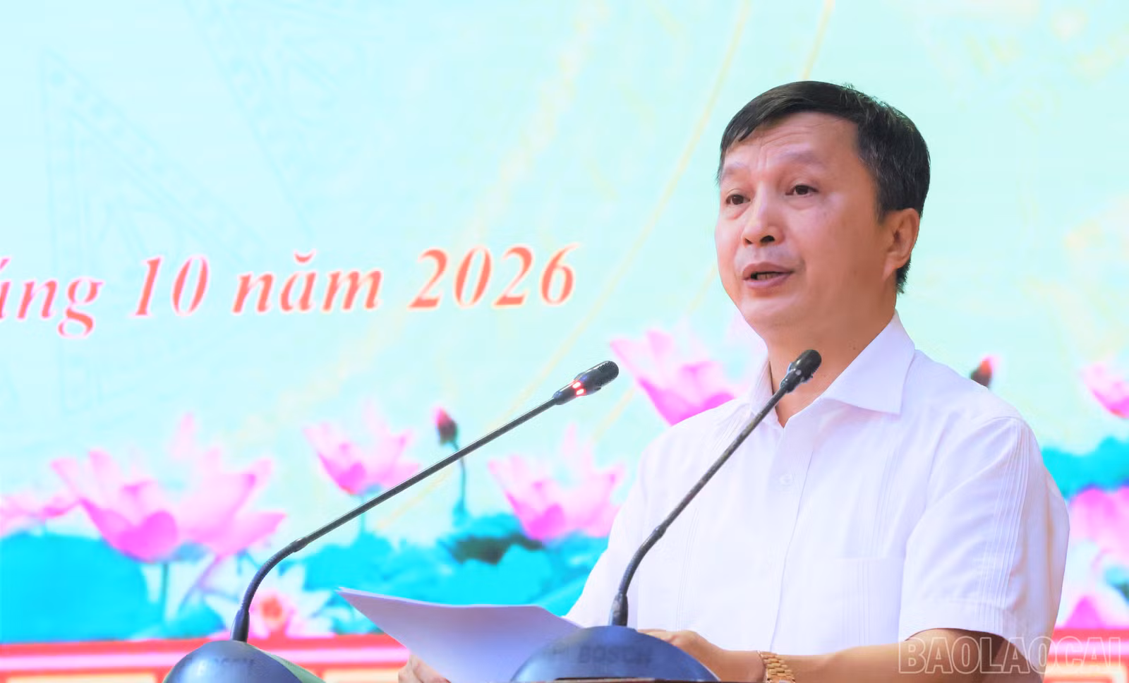 baolaocai-br_sonv-155.jpg