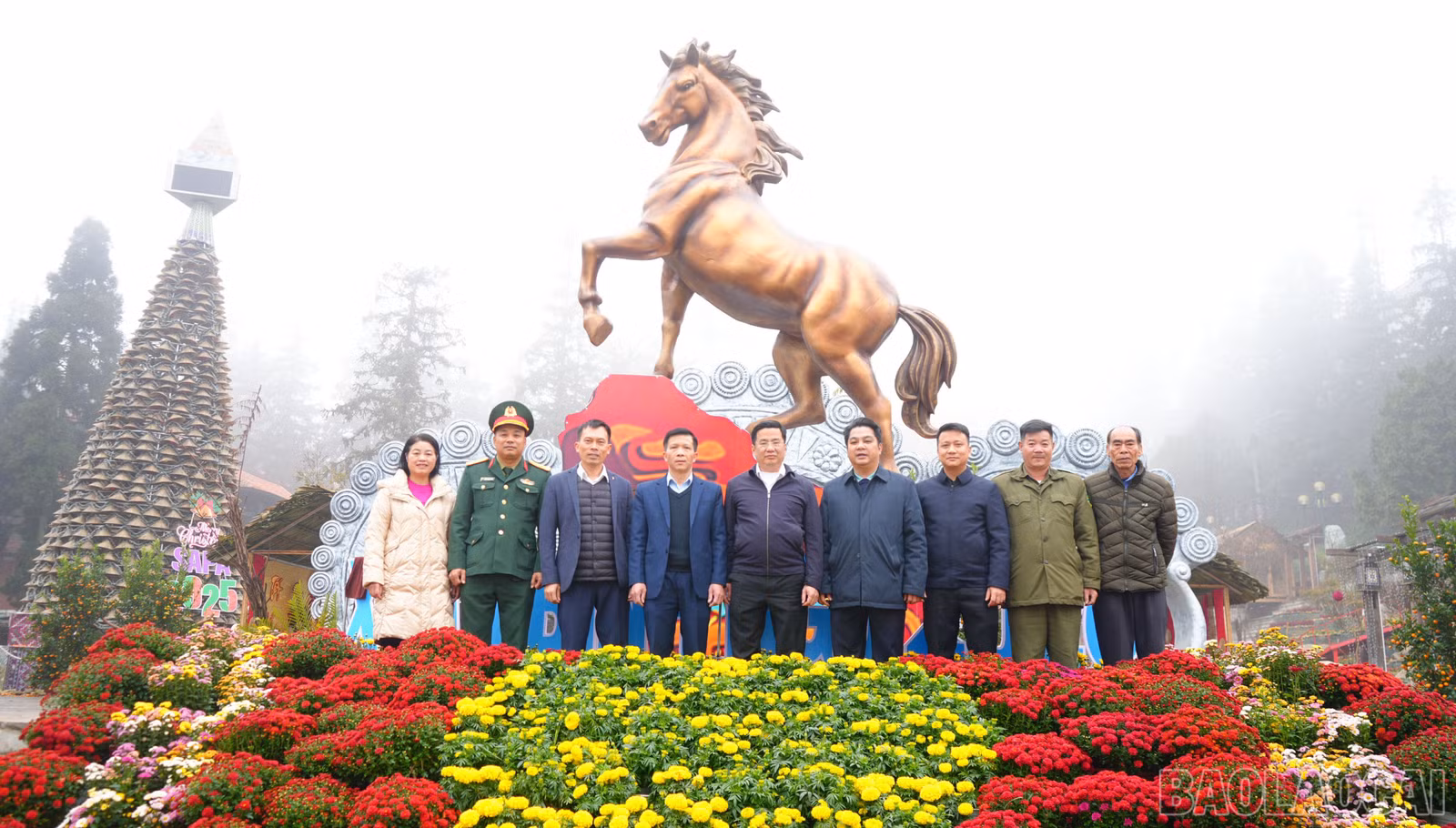 baolaocai-br_dsc04729.jpg