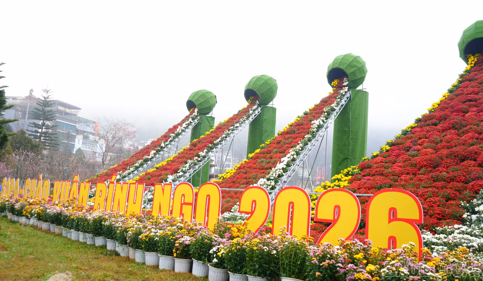 baolaocai-br_dsc04766.jpg