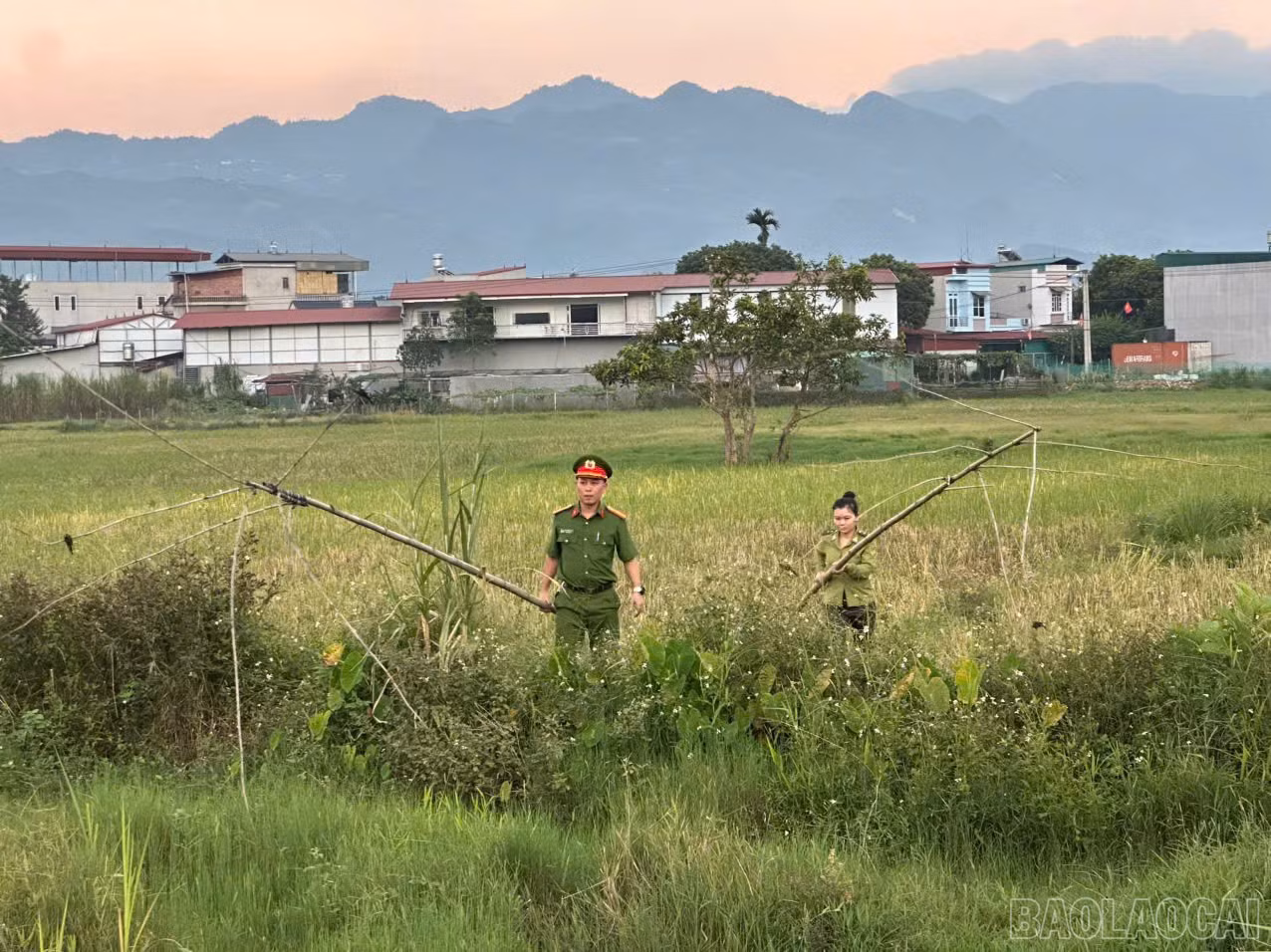 baolaocai-br_z7098908197549-0fac2dee49e70c17c747a432388d3891.jpg