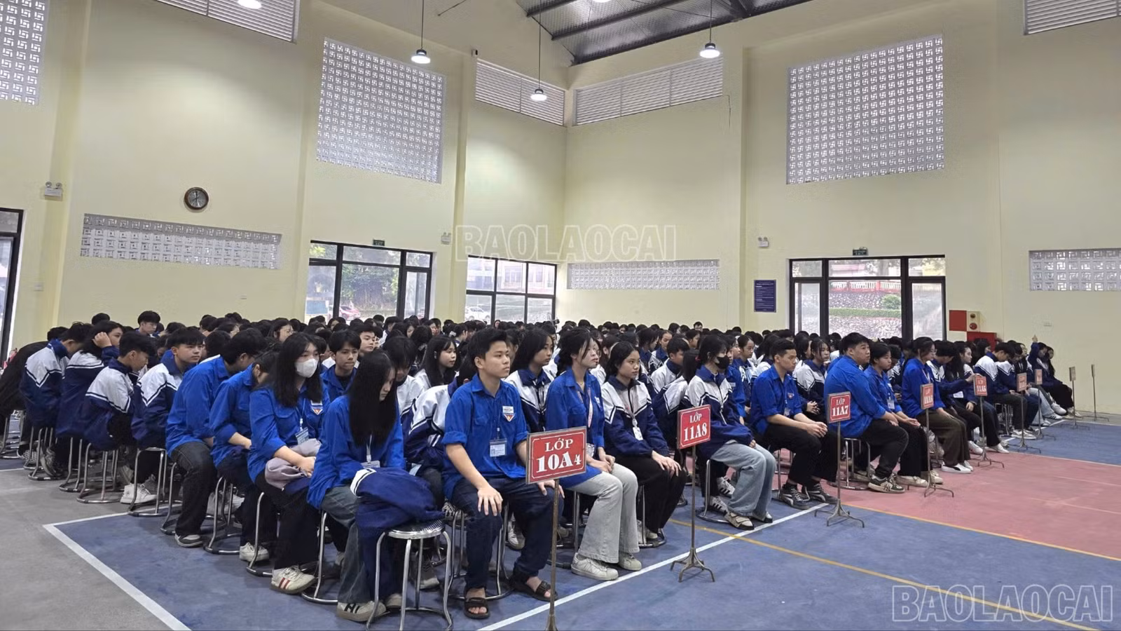 baolaocai-c-z7295109942842-9fb813e84ac09edf3658c7ef00779101.jpg
