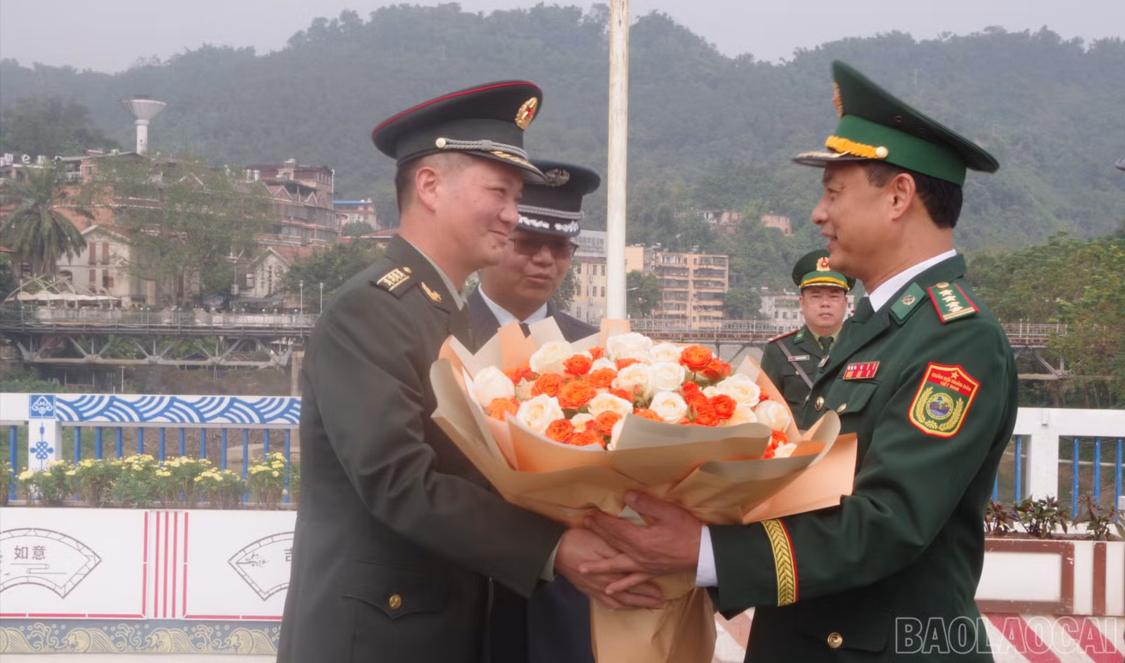 baolaocai-br_chaodontq-2752.jpg