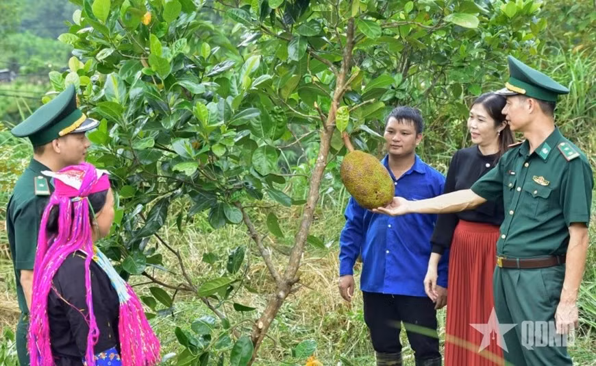 Đồn Biên phòng Bắc Sơn (Ban chỉ huy Bộ đội Biên phòng tỉnh Quảng Ninh) triển khai mô hình vườn cây ăn quả kiểu mẫu giúp dân phát triển kinh tế, tháng 10-2025.
