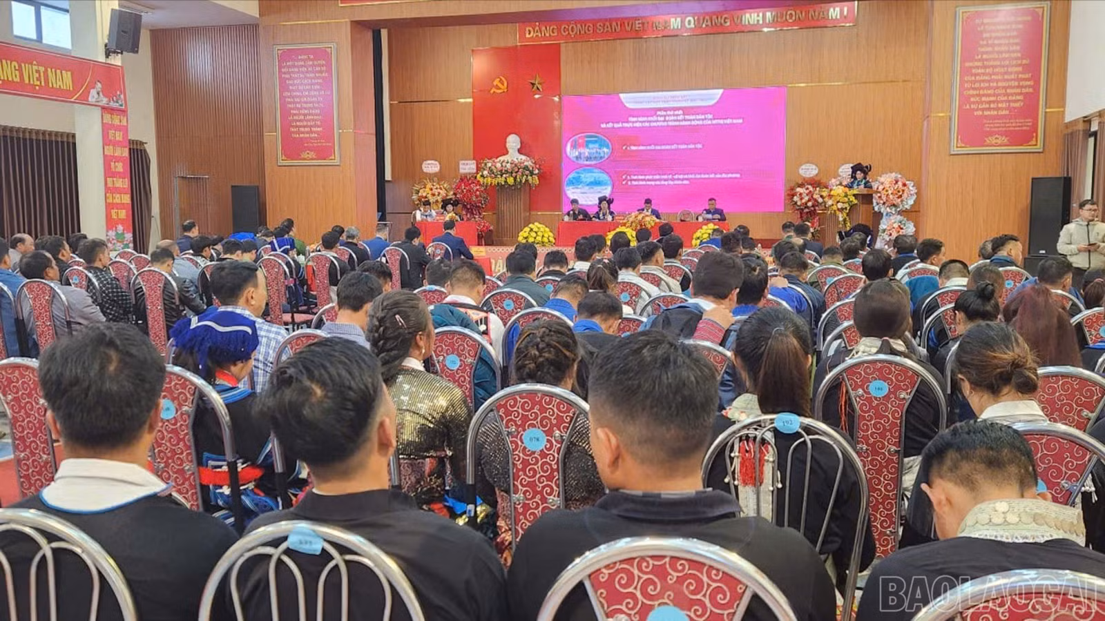 baolaocai-br_quangcanh-5235.jpg