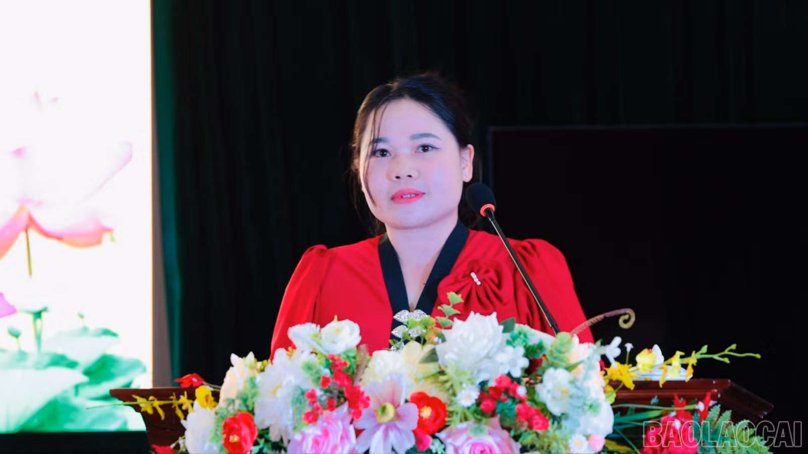 baolaocai-br_thamluan-6181.jpg
