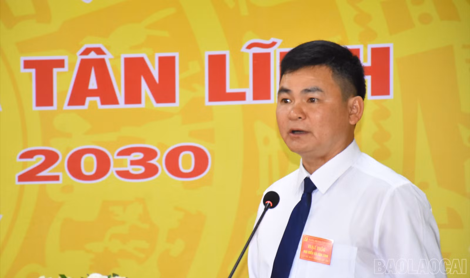 baolaocai-br_ongcau-3020.jpg