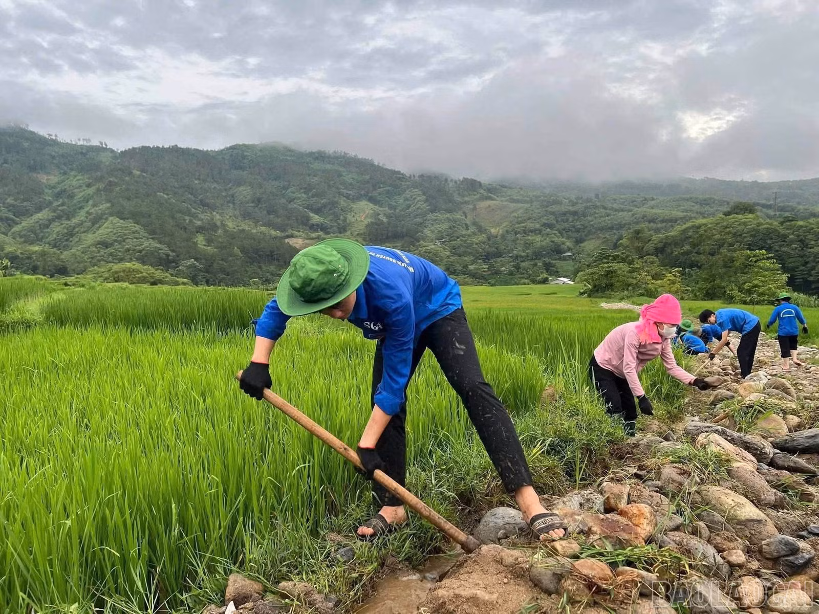 baolaocai-br_kenhmuong-2.jpg