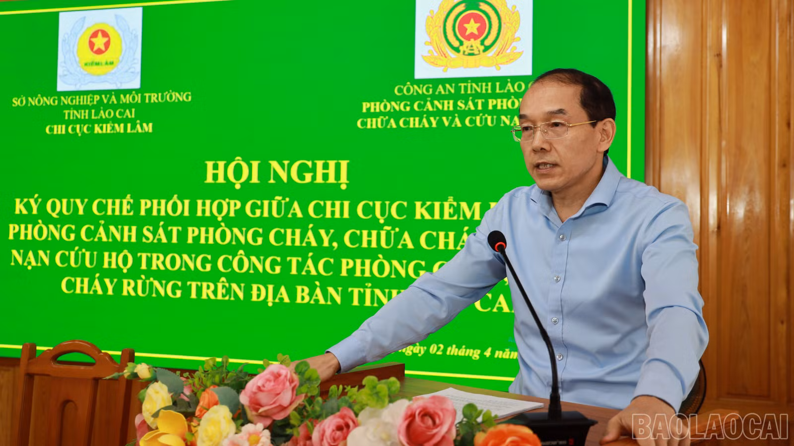 baolaocai-br_3.jpg