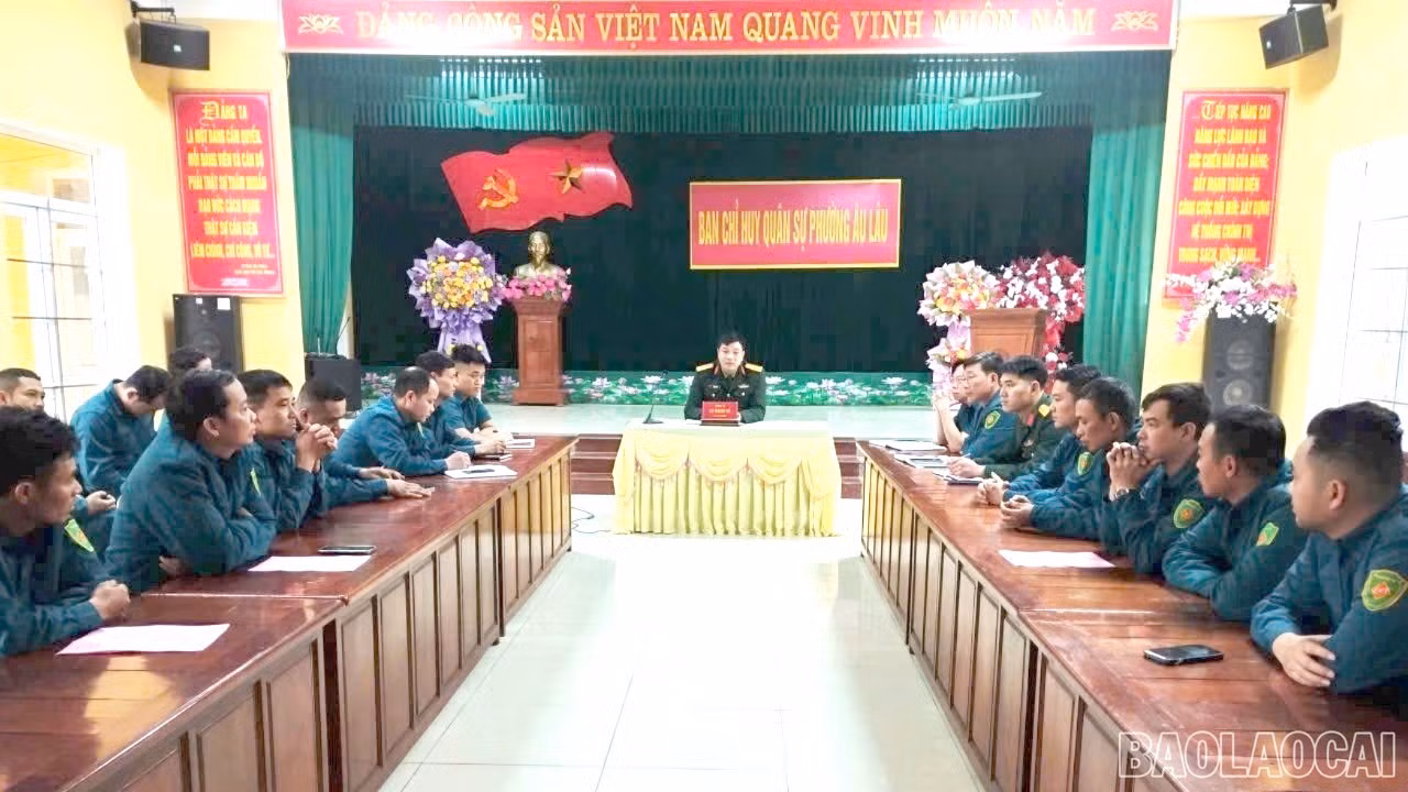 nvqs.jpg