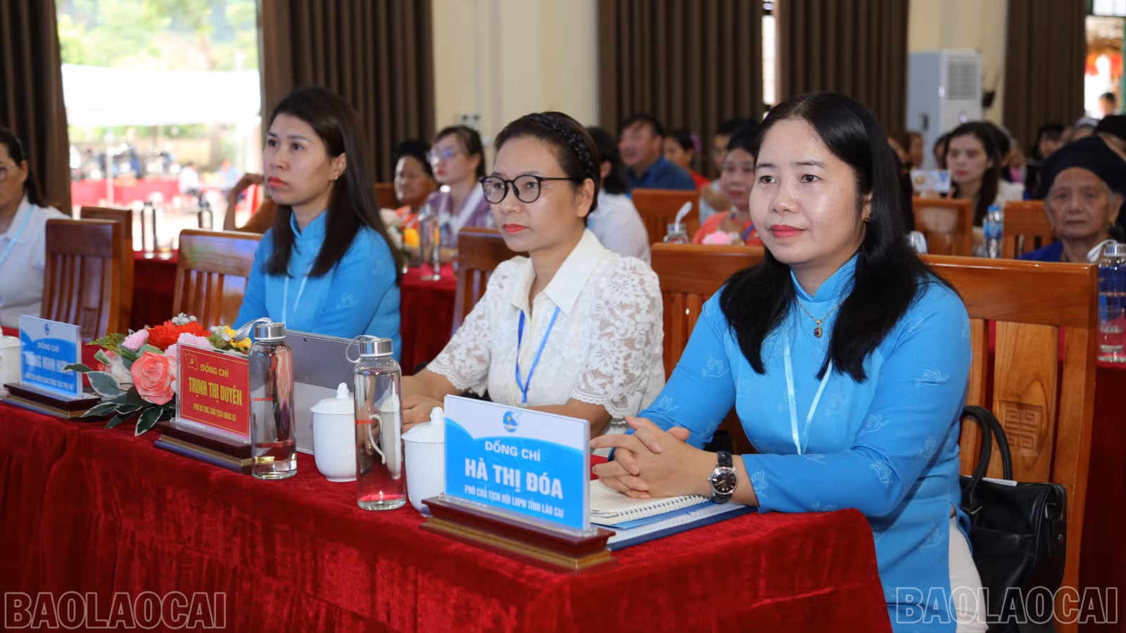 baolaocai-br_bl-cici4446.jpg
