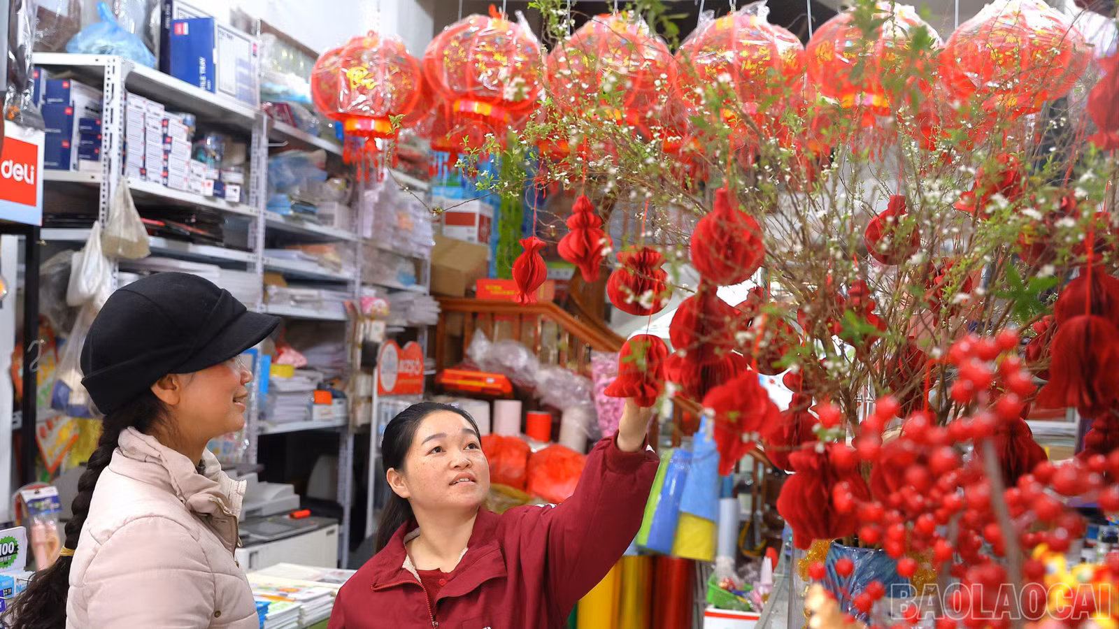 baolaocai-br_br-img-6714.jpg