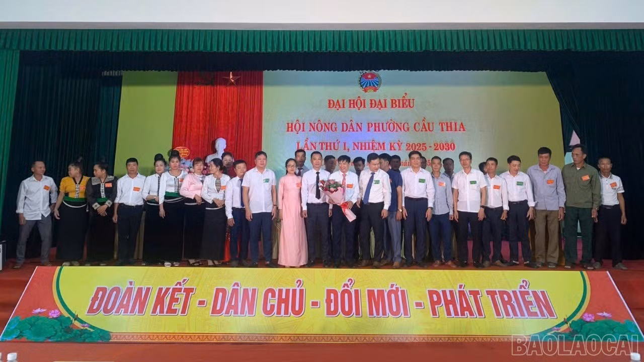 baolaocai-br_ramat1-1-549.jpg