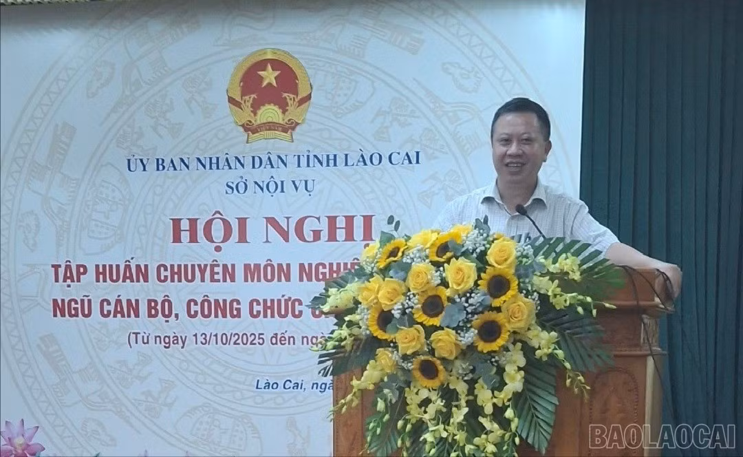 baolaocai-br-q.jpg