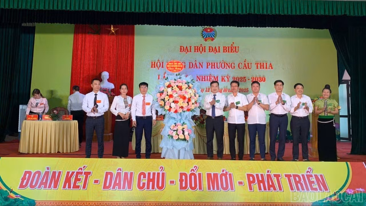 baolaocai-br_tanghoa-6735.jpg