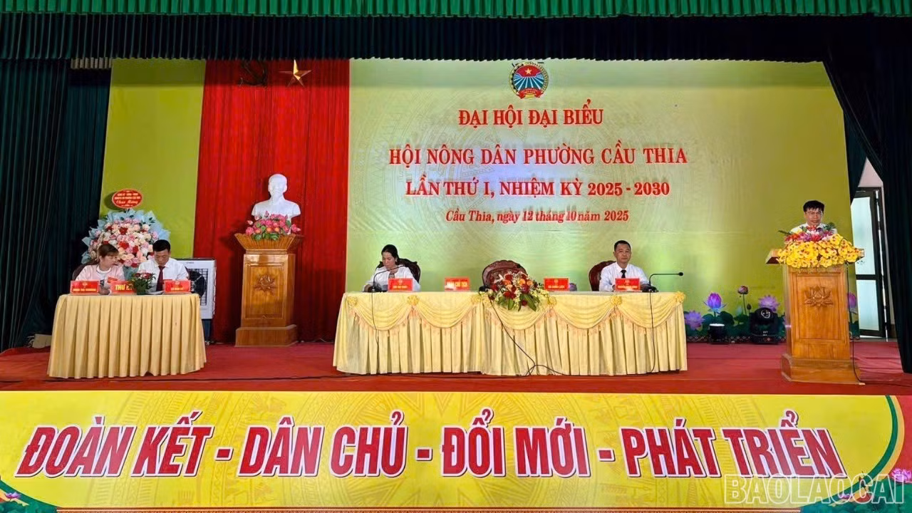 baolaocai-br-chutich.jpg