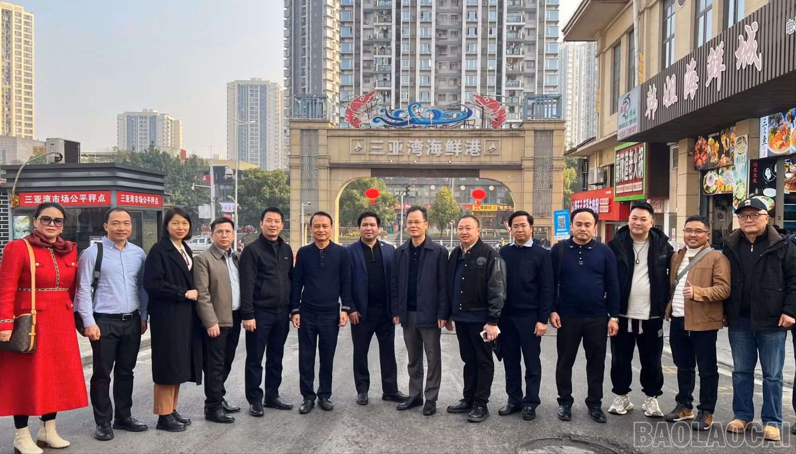 baolaocai-br-934109854915633653.jpg