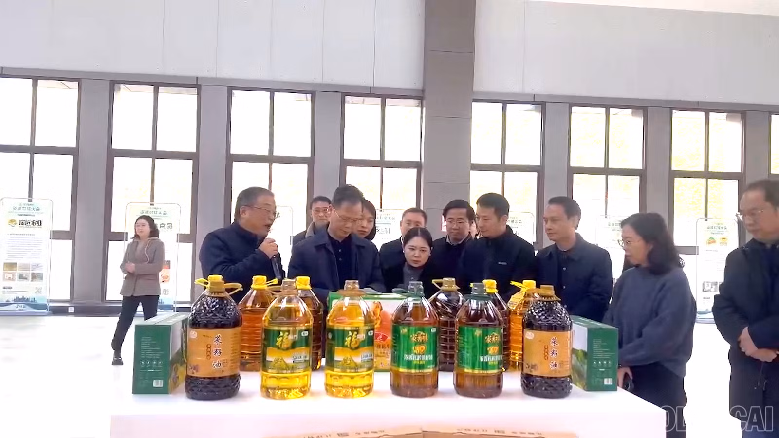 baolaocai-br_tk1.png