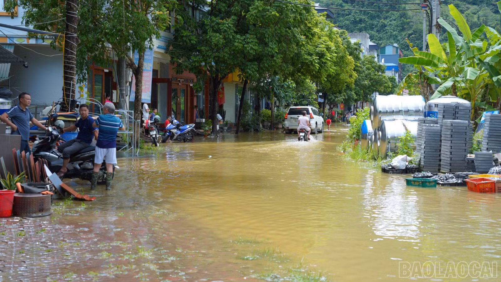 baolaocai-br_ngapsau-1.jpg
