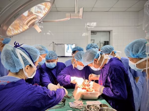 Các bác sĩ Bệnh viện 19-8 rửa và chuẩn bị thận trước khi ghép cho bệnh nhân.
