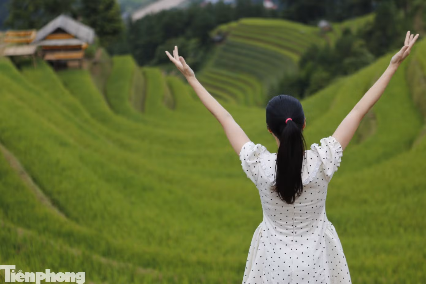 Chị Đỗ Thị Mai (ở Hải Phòng) chia sẻ, chị cùng nhóm bạn biết được vẻ đẹp của ruộng bậc thang Mù Cang Chải qua mạng xã hội và thông tin trên báo chí nên tranh thủ dịp nghỉ lễ dài ngày, cả nhóm đã lên lịch đi Mù Cang Chải để trải nghiệm. "Thật sự vẻ đẹp của ruộng bậc thang còn hơn những gì thấy trên phim ảnh, mọi người đều cố gắng ghi lại thật nhiều hình ảnh tại đây để về khoe với mọi người", chị Mai nói.