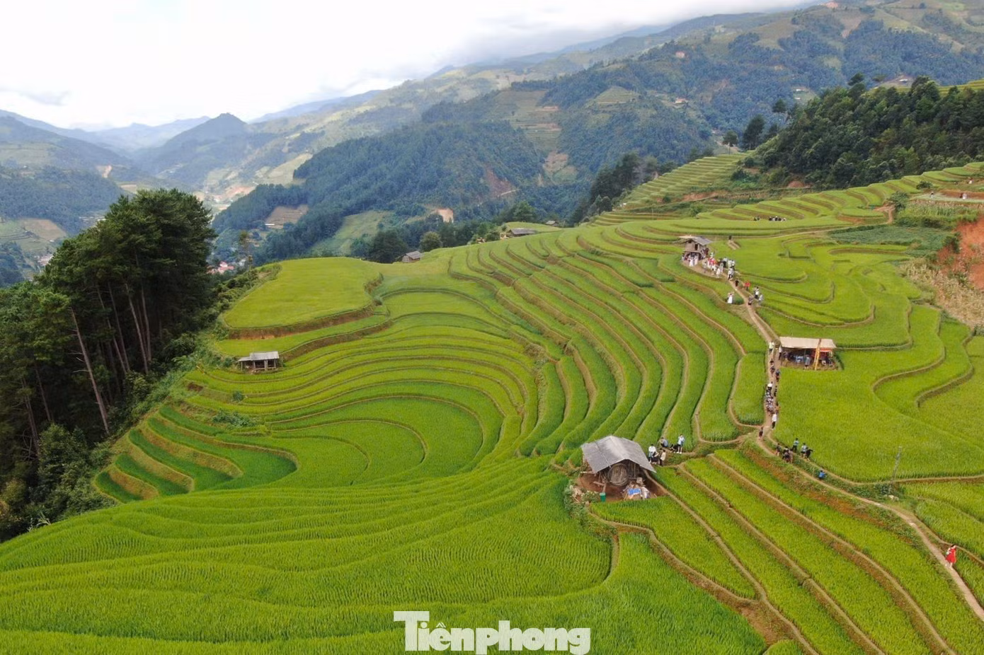 Dịp này diễn ra Giải chạy Mù Cang Chải Ultra Trail 2026, quy tụ hàng nghìn vận động viên trong nước và quốc tế.