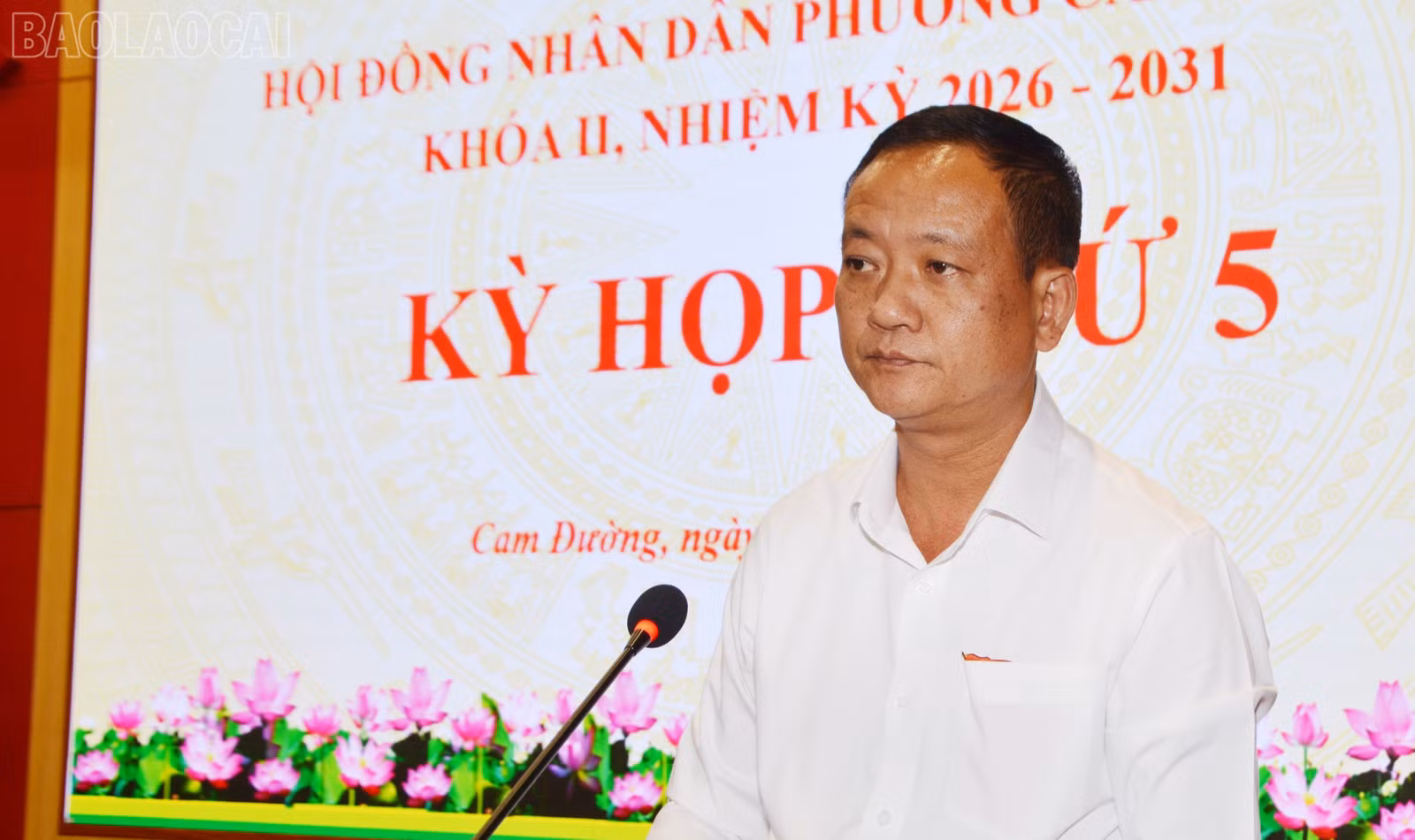 baolaocai-tl_tl-dsc-3922.jpg