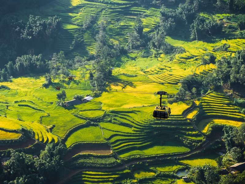 sapa4.jpg