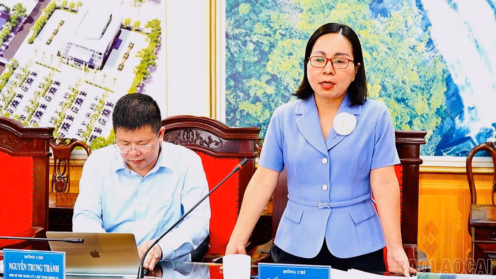 baolaocai-br_chivinh.jpg