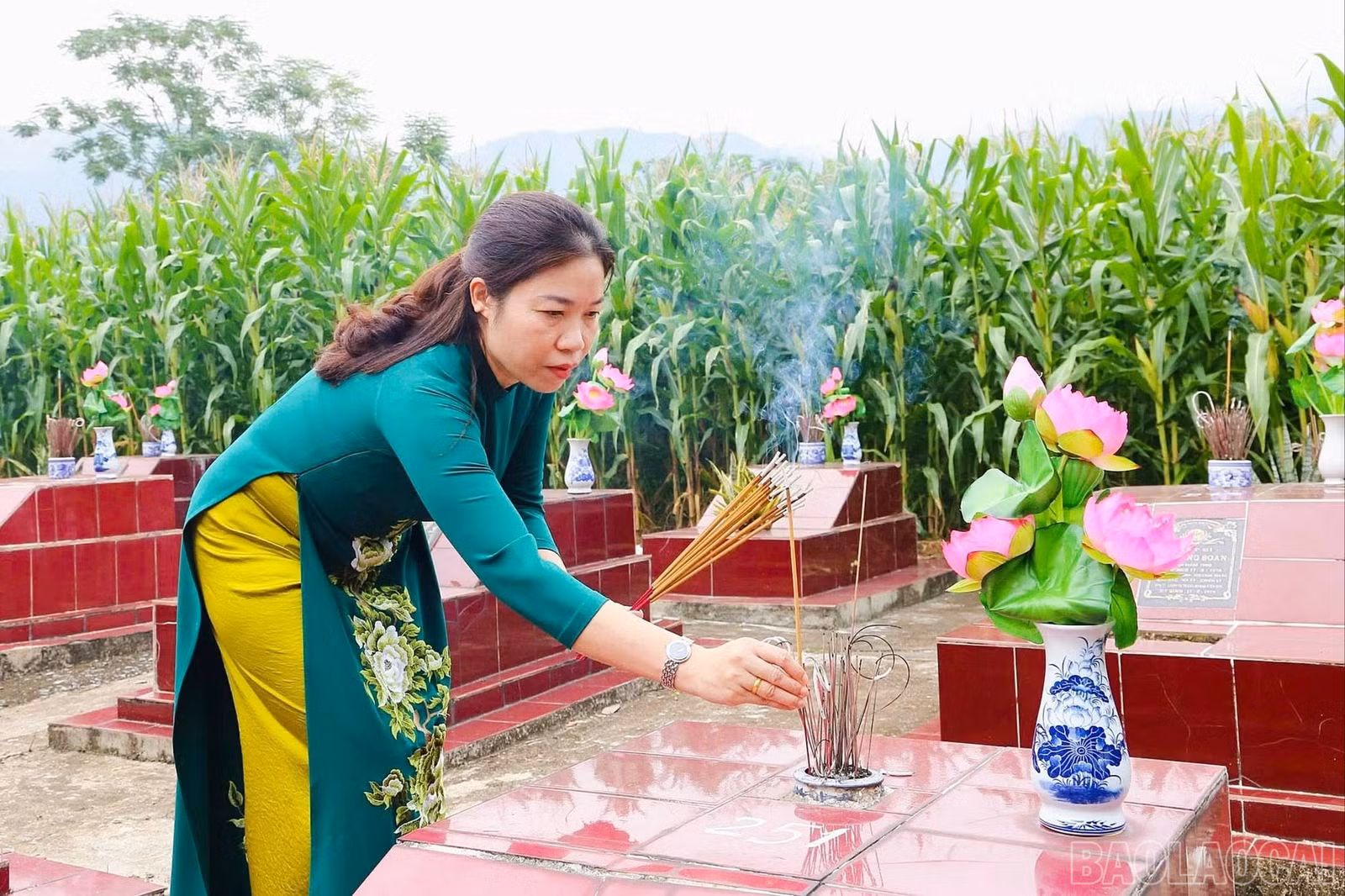 baolaocai-br_thaphuong-1.jpg