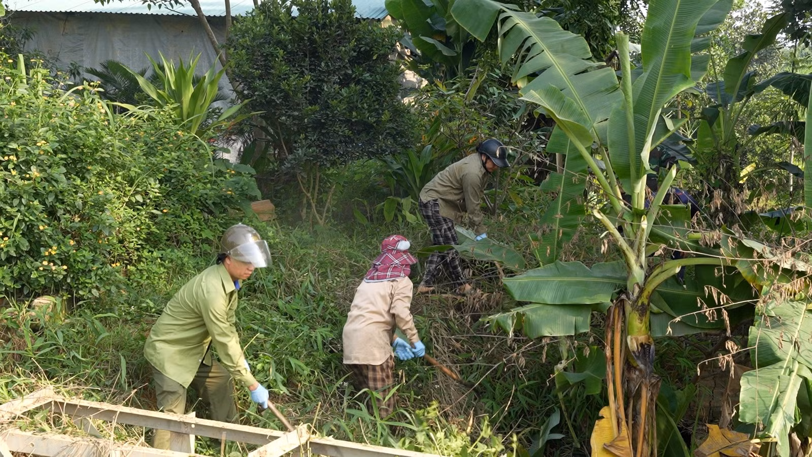 dongchay-2.jpg