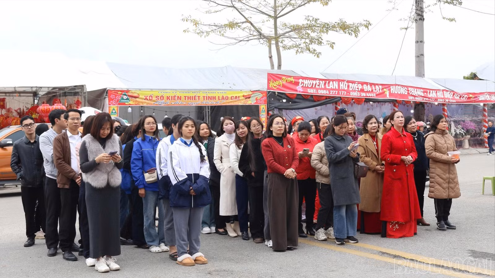 baolaocai-br_quangcanh-828.jpg