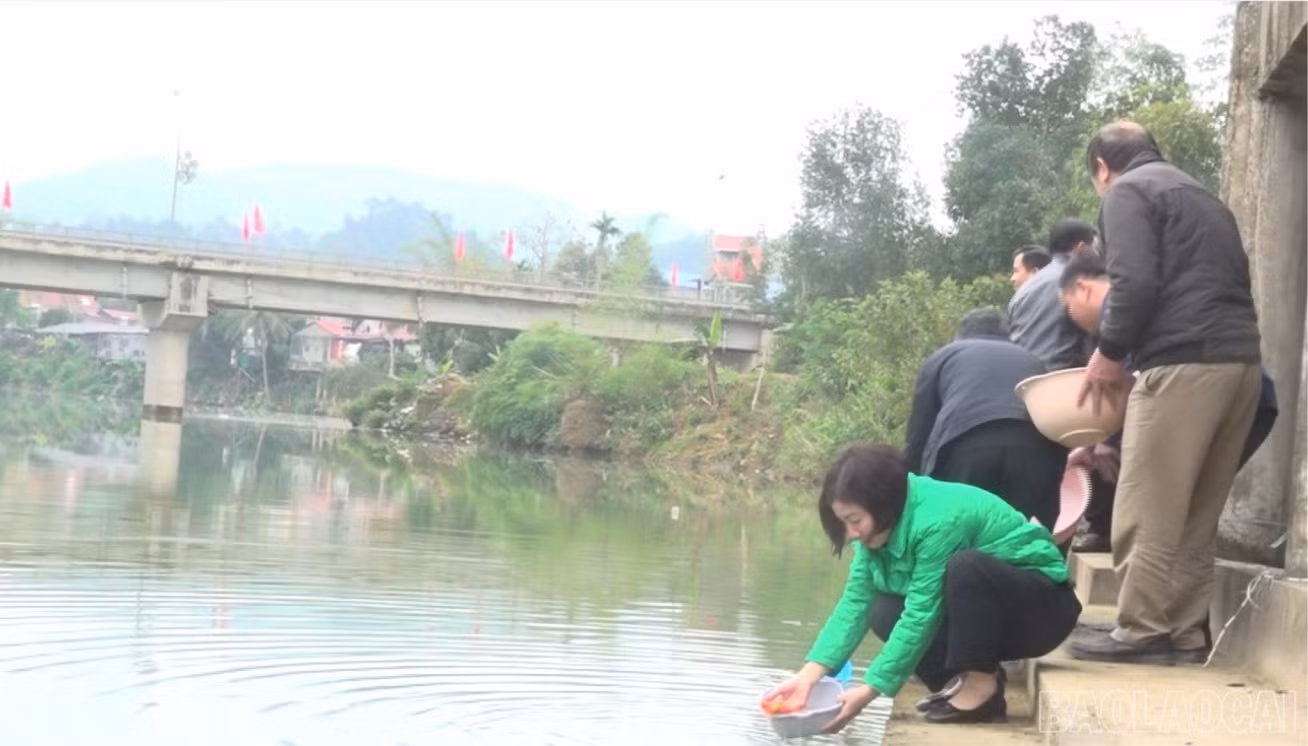 baolaocai-br-anh-1.jpg