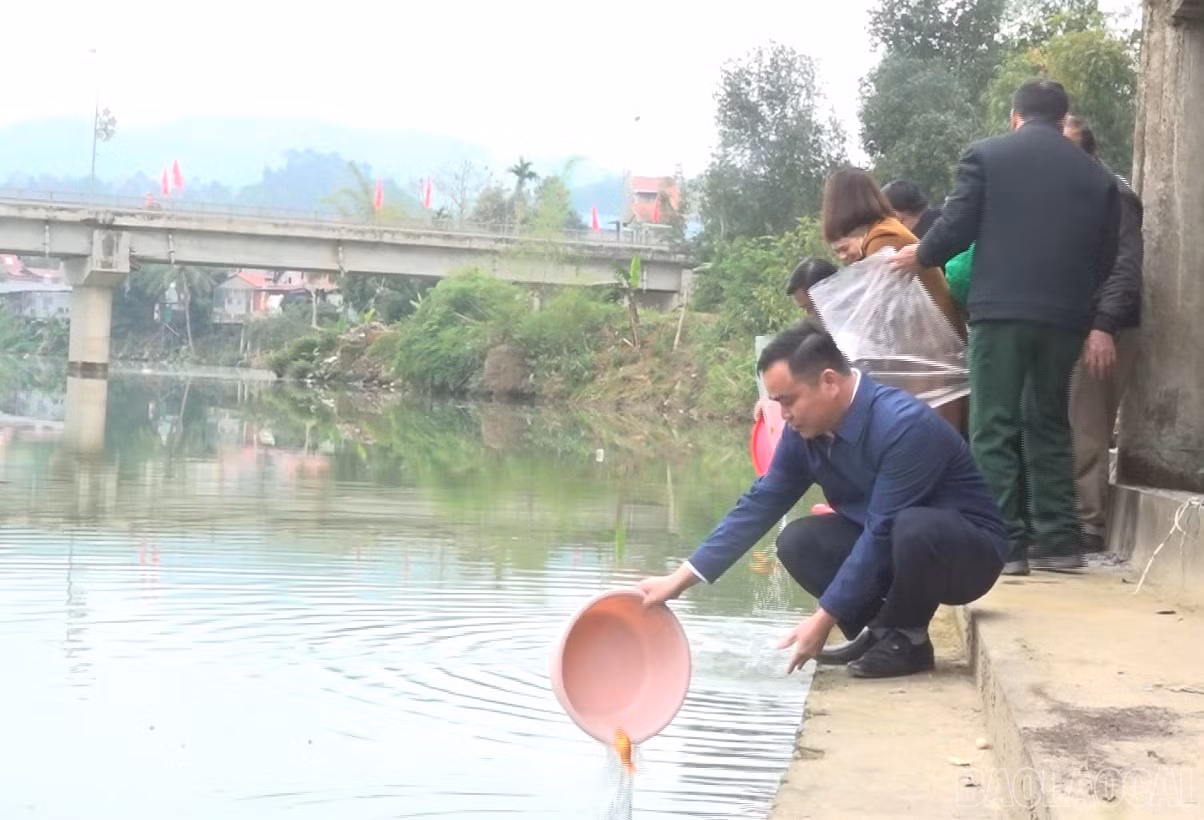 baolaocai-br_anh-3.png