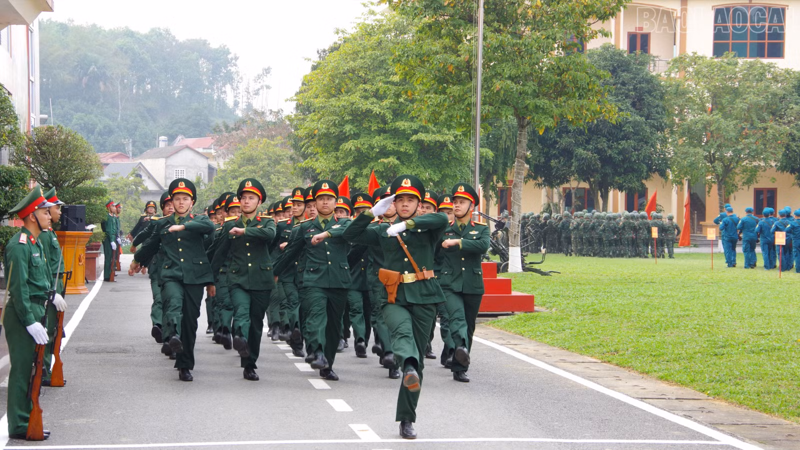 baolaocai-tr_br-a3.jpg