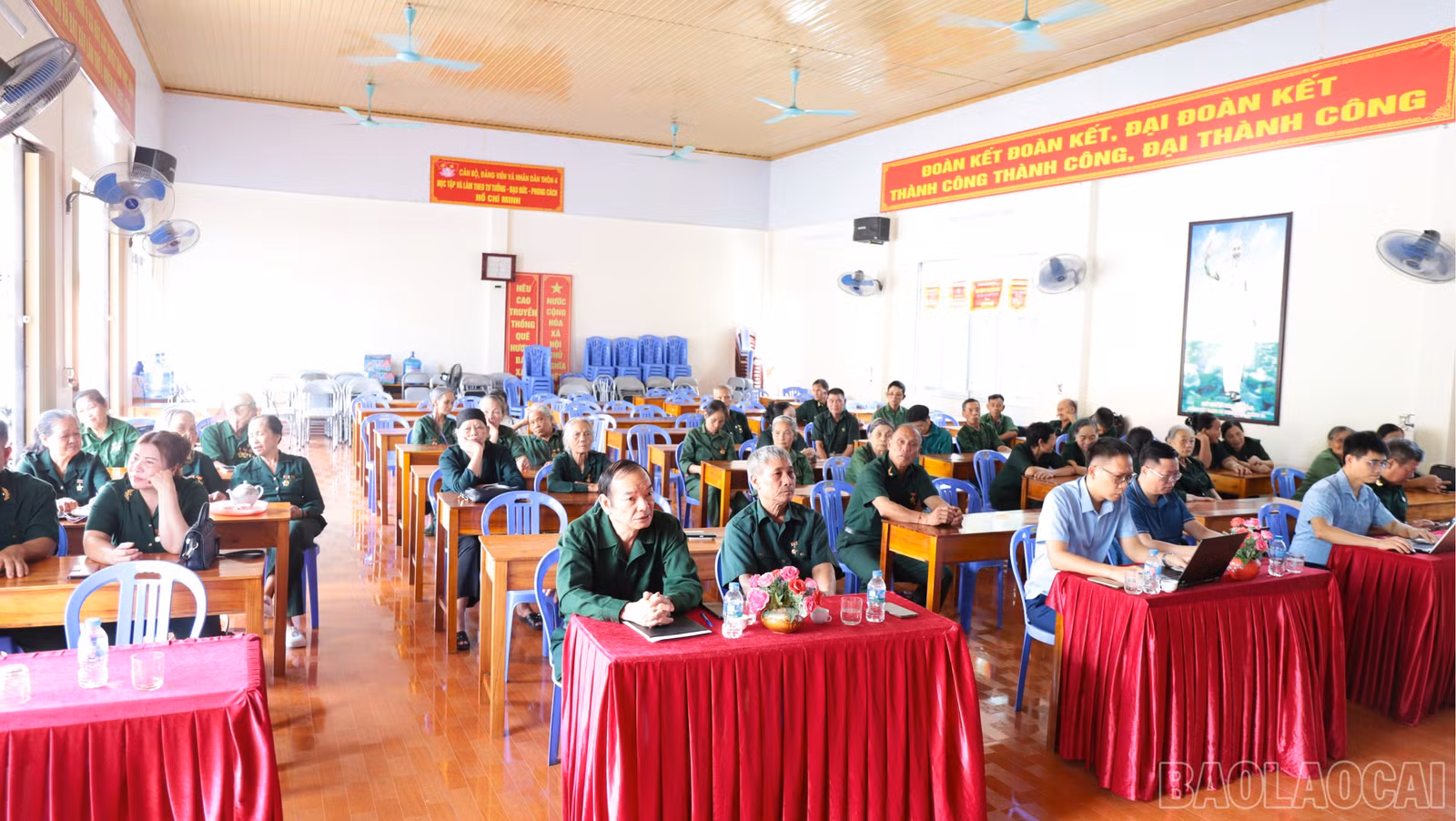 baolaocai-br_2-1-7292.jpg