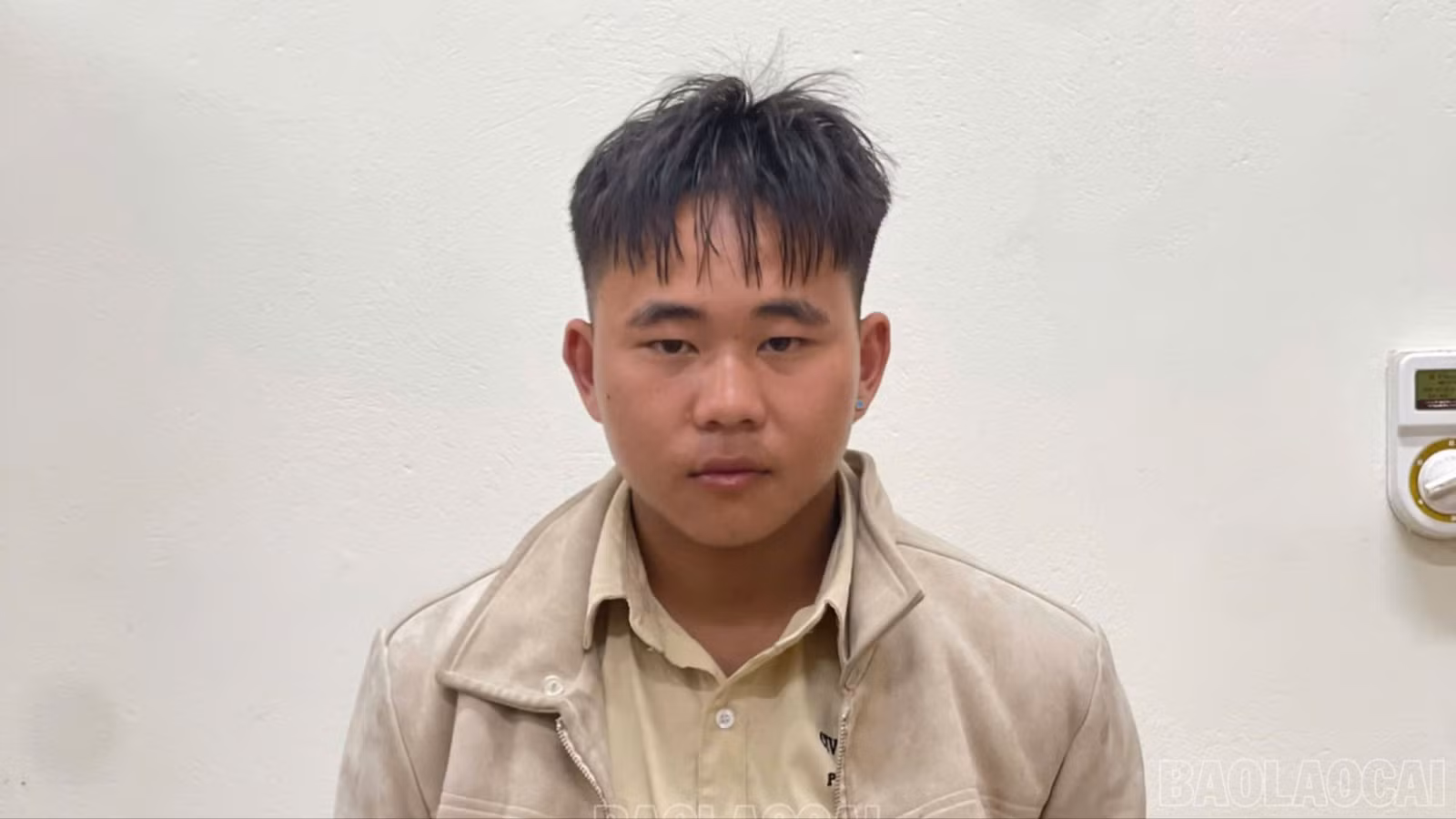 baolaocai-c-lu.jpg