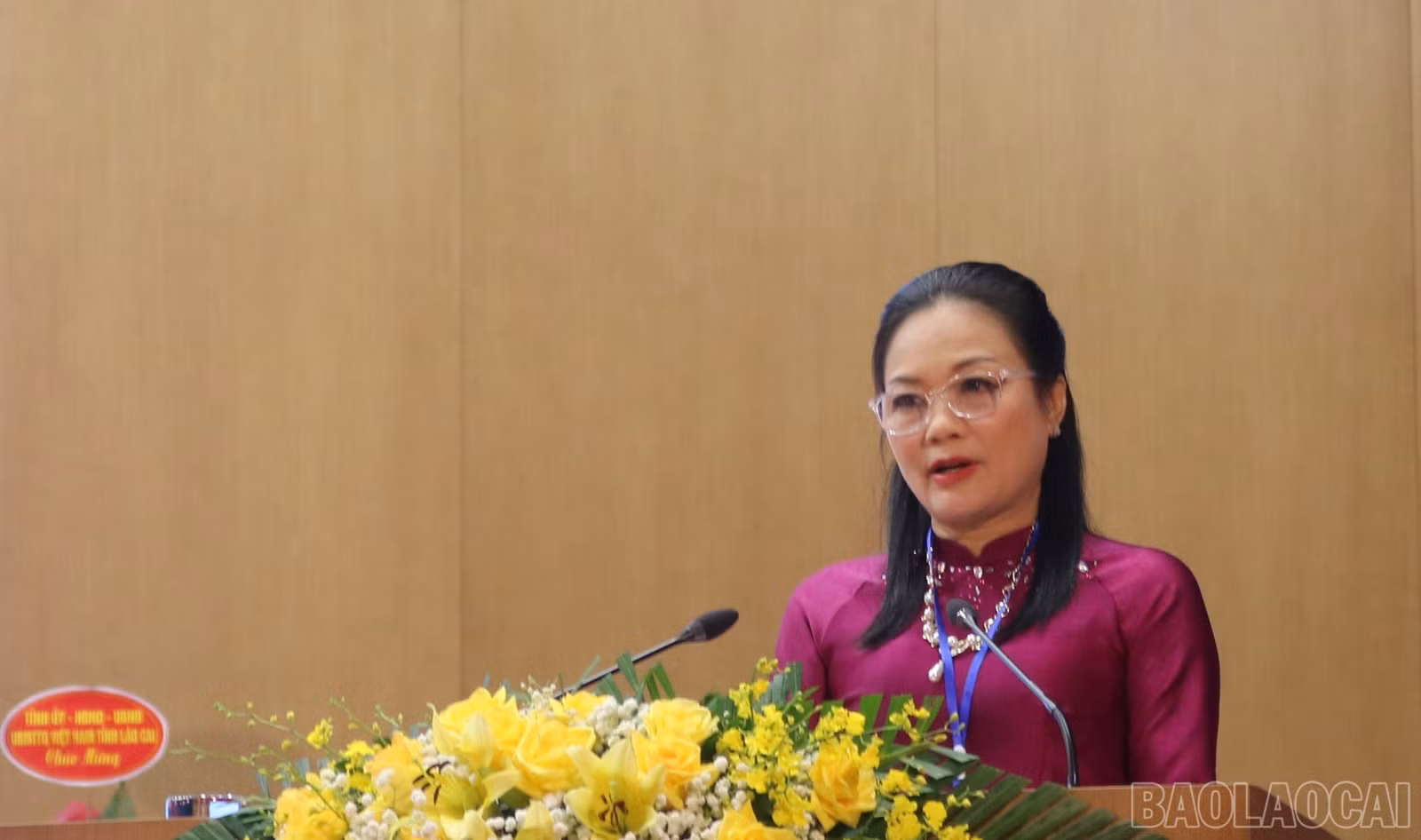 baolaocai-br-img-5929.jpg