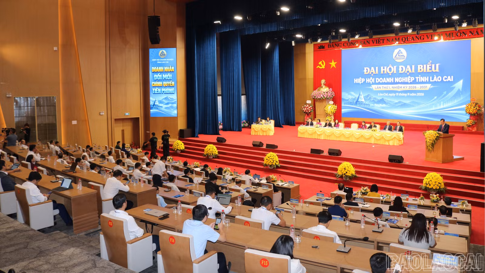 baolaocai-br-img-5916.jpg
