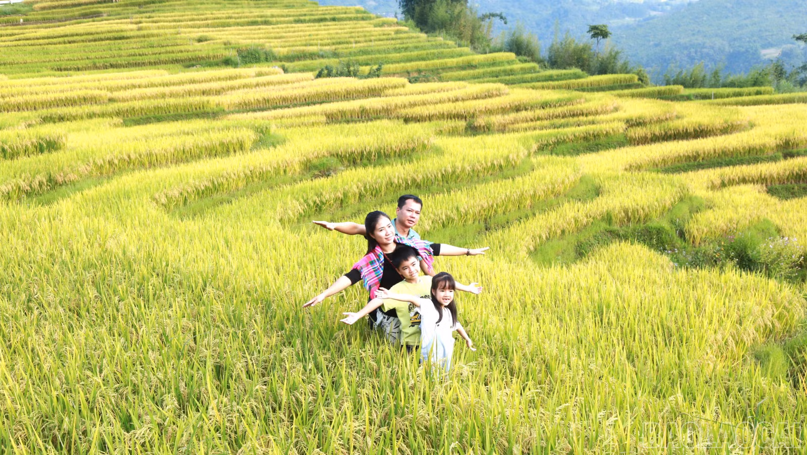 baolaocai-br-7.jpg