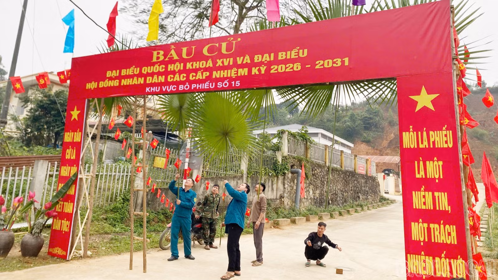baolaocai-br-c-7.jpg