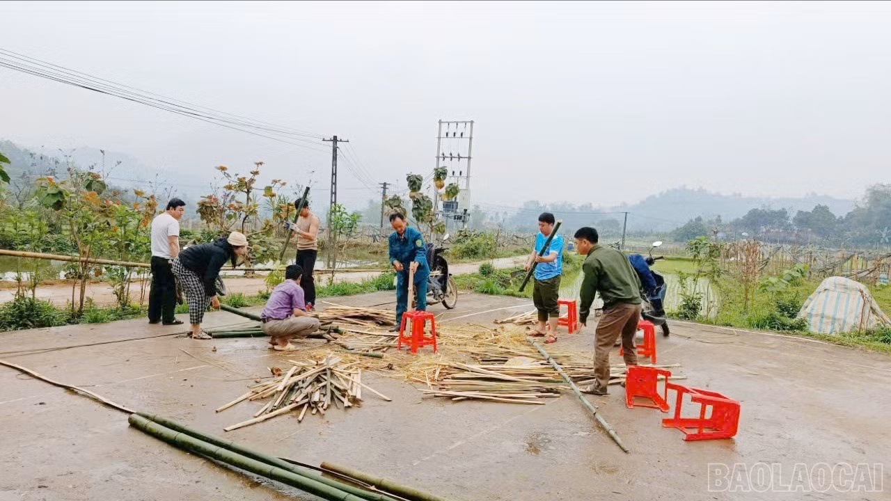 baolaocai-br-c-1.jpg