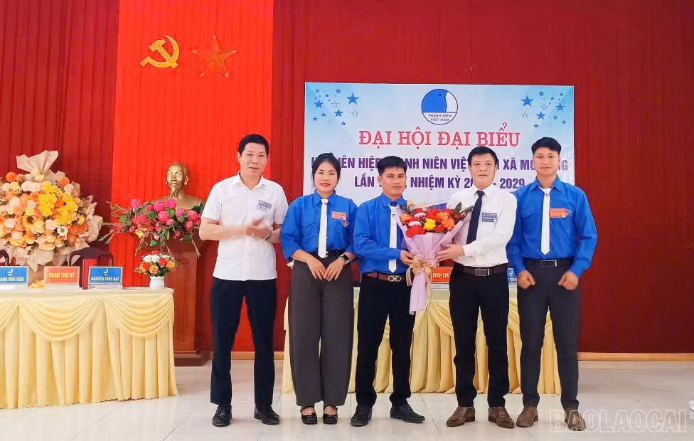 baolaocai-br_dh1.jpg
