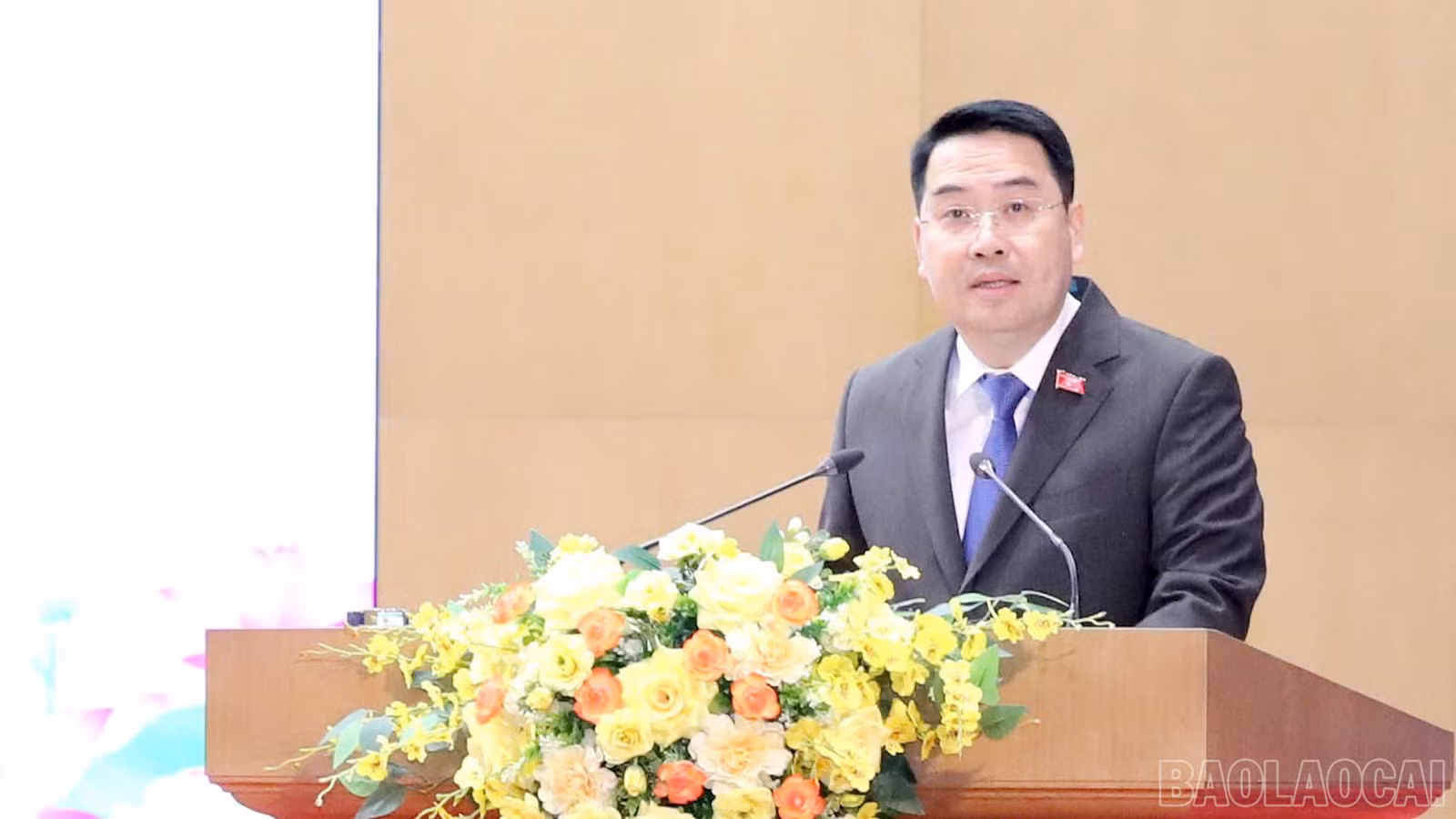 baolaocai-br_ctmoi-7479.jpg