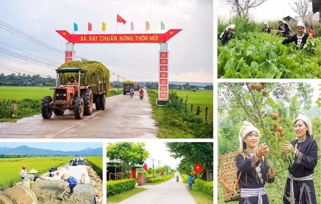 Thành lập Ban Chỉ đạo Trung ương thực hiện Chương trình mục tiêu quốc gia giai đoạn 2026 - 2035. Ảnh: TTXVN phát