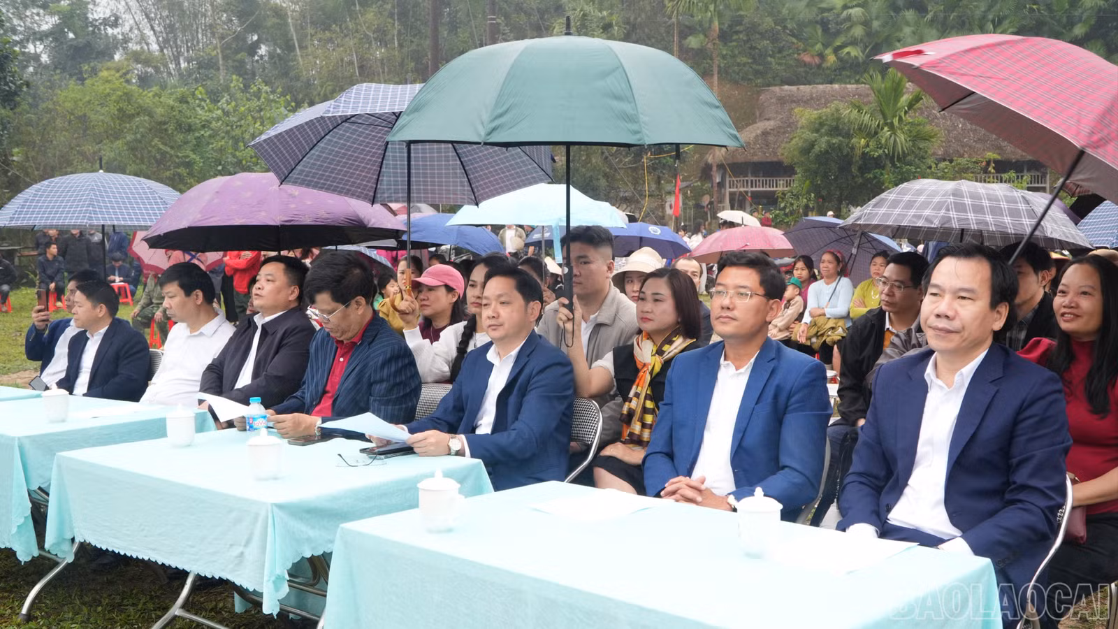 baolaocai-br_daibieu-1-7246.jpg