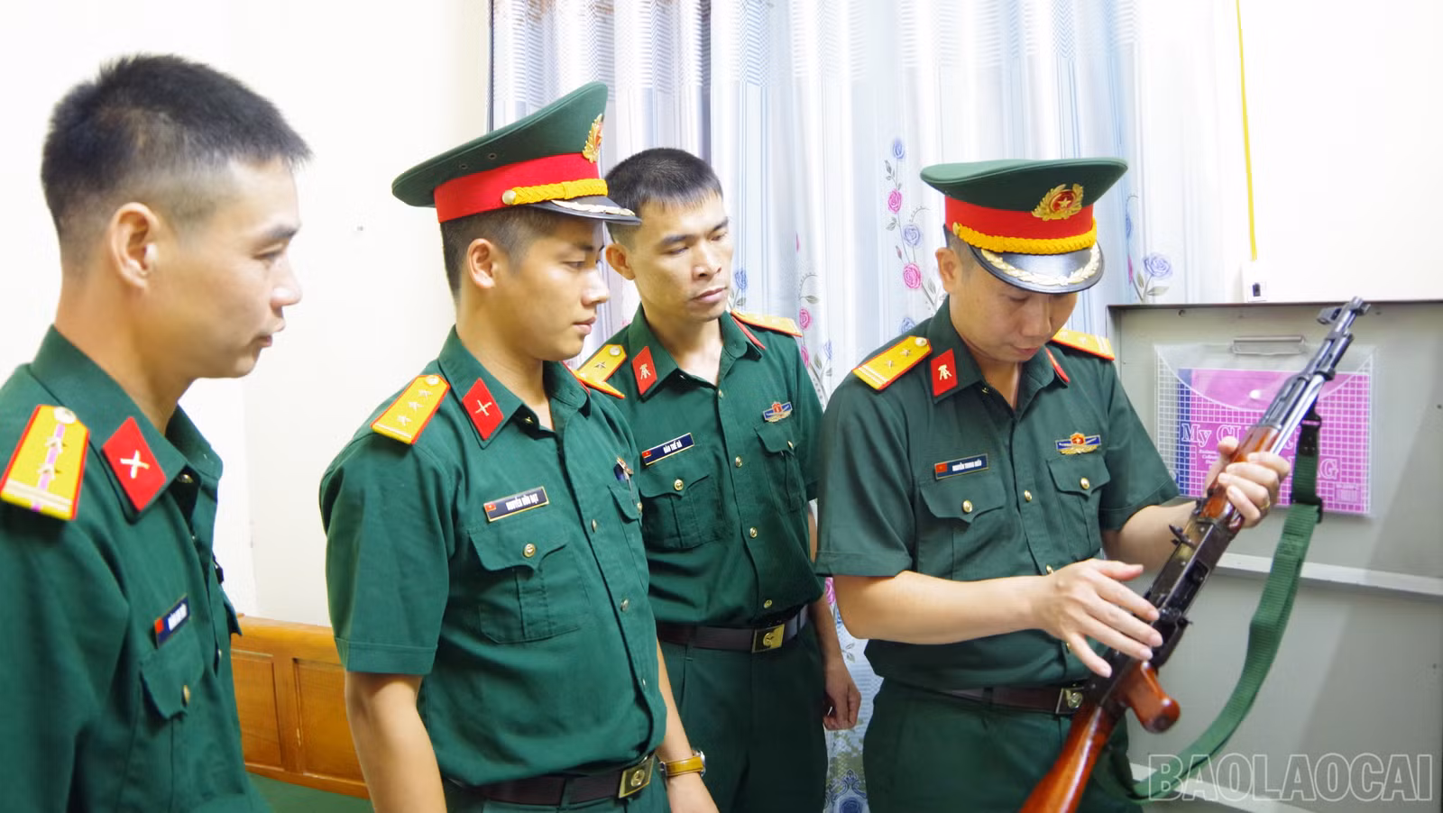 baolaocai-br-a6.jpg
